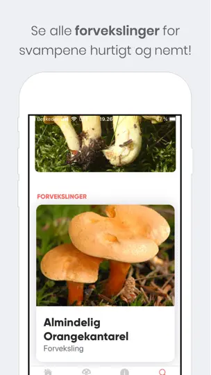 Shroomi - Danske Svampe iPhone-skjermbilde 6