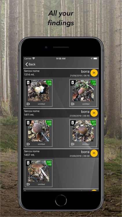 aFunghi screenshot-8