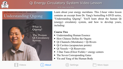 Qi Energy Video Lesson Screenshot