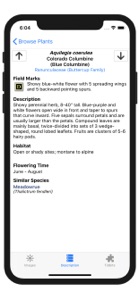 Colorado Rocky Mtn Wildflowers screenshot #6 for iPhone