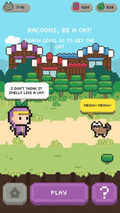 Let's Get the Cats: Cute Cats