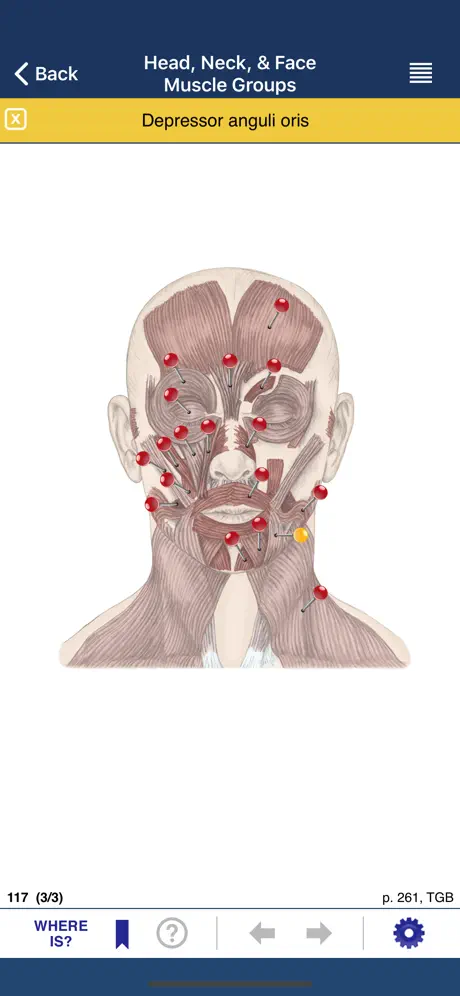 AnatomyMapp Lite