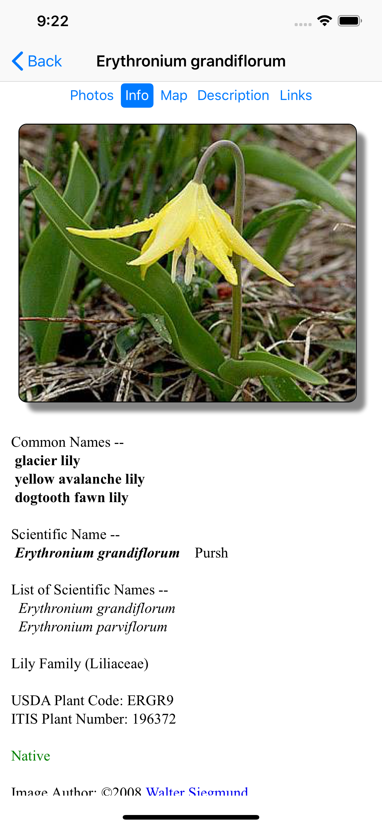 Olympic Wildflowers