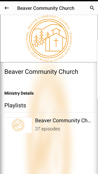 Beaver CC screenshot 2