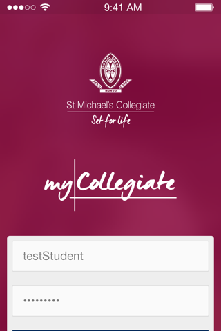 St Michael's Collegiate screenshot 2