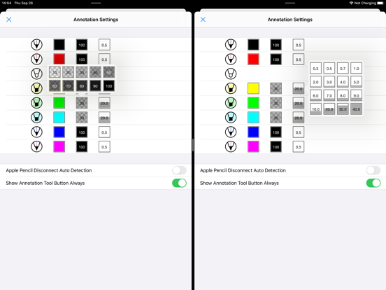 PDF Notes C iPad screenshot