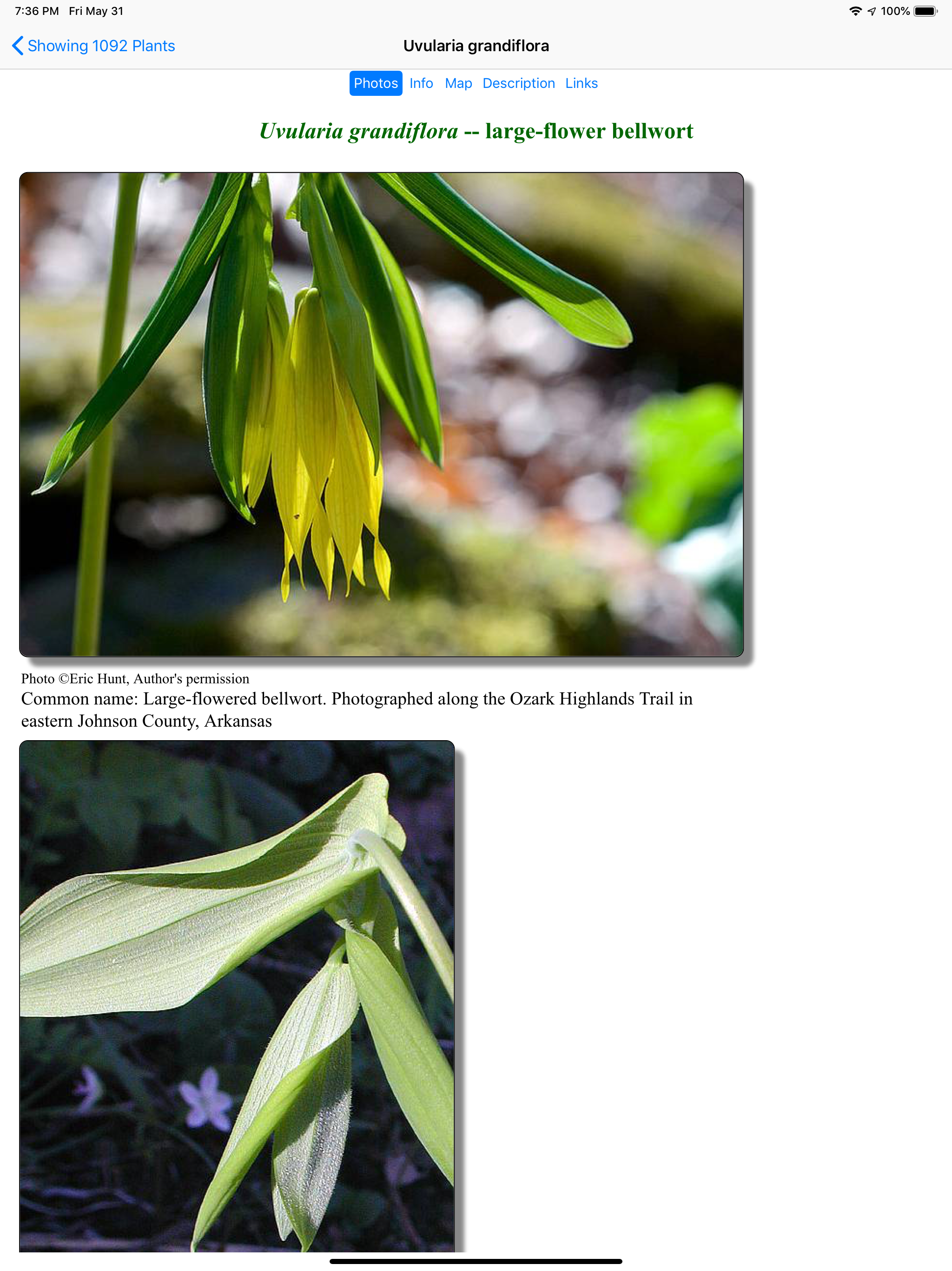 Ontario Wildflowers