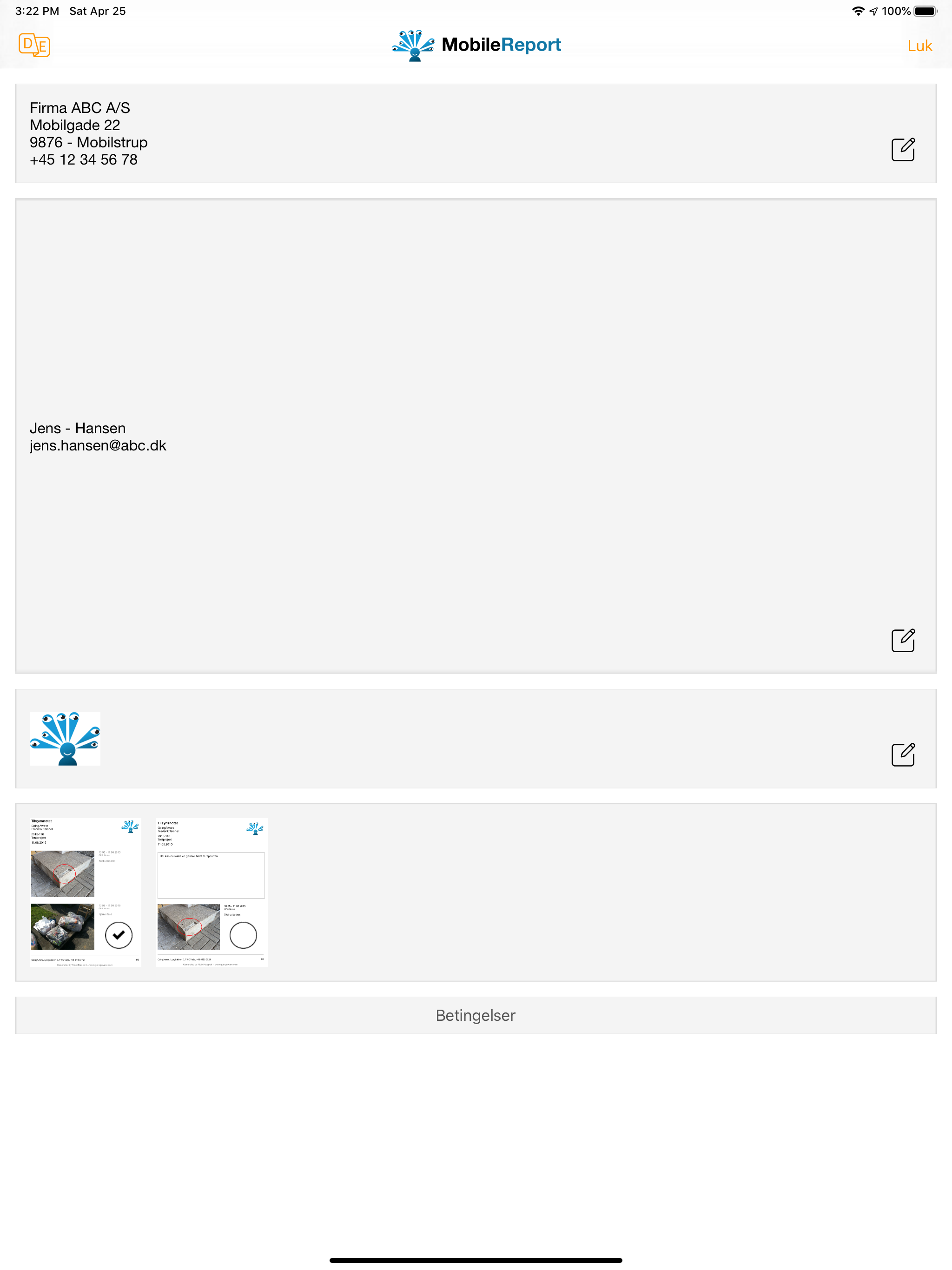 Mobile Report - PDF Report