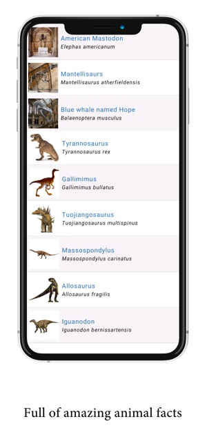 Natural History Museum Full(圖4)-速報App