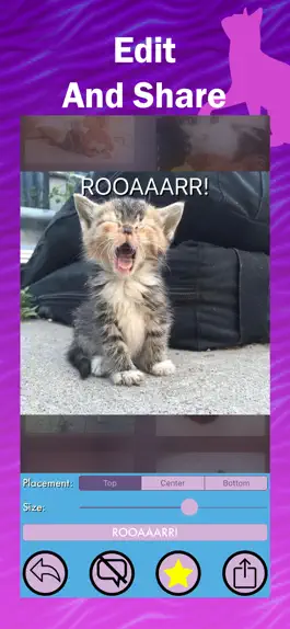 Game screenshot Kitter: Live Cat Pics apk