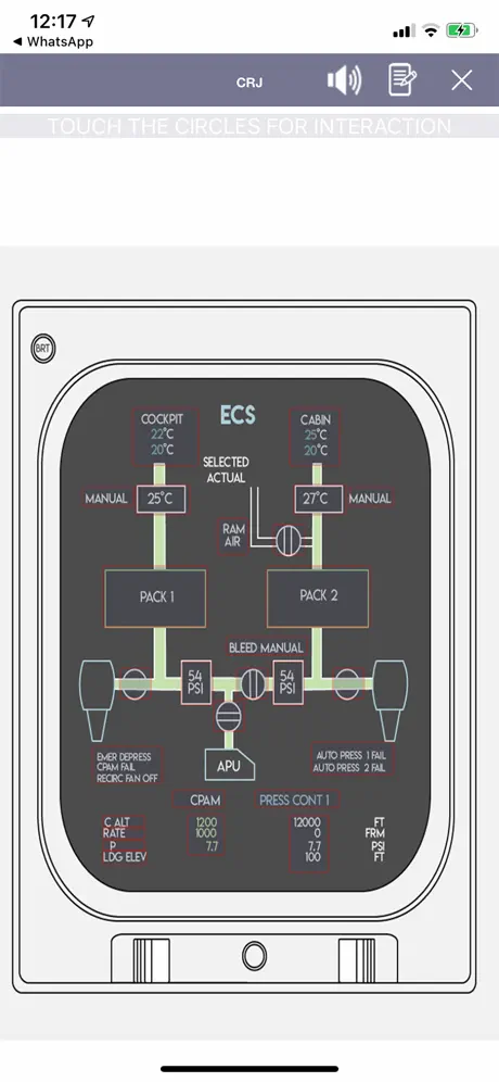 CRJ Virtual Panel