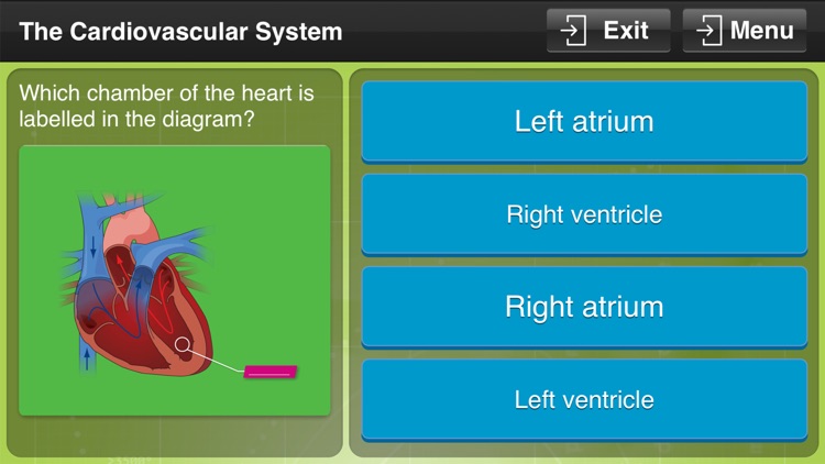 Physical Education GCSE