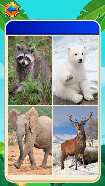 Malu's Learning Mini Games