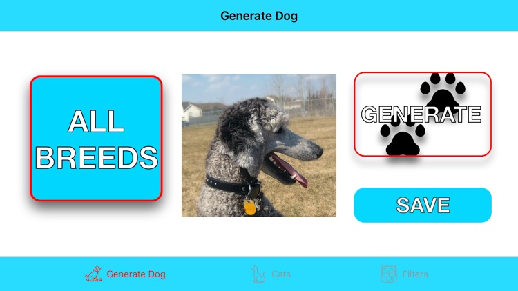 PetWorld: Dogs vs Cats