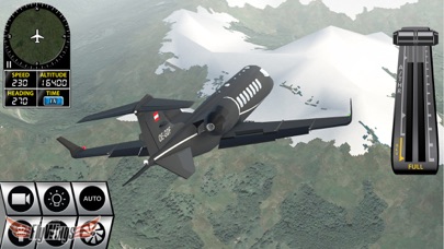 Flight Simulator FlyWings 2016のおすすめ画像6