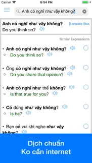 vietnamese translator offline iphone screenshot 2