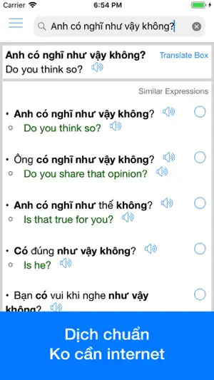 Vietnamese Translator Offline screenshot 2