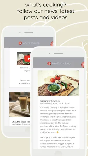 Captura de pantalla de Yogicfoods - Global Recipes en iPhone 3