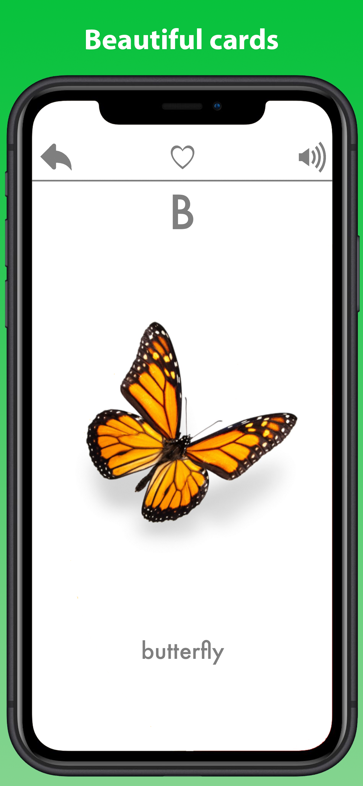 Learn shapes letters & words