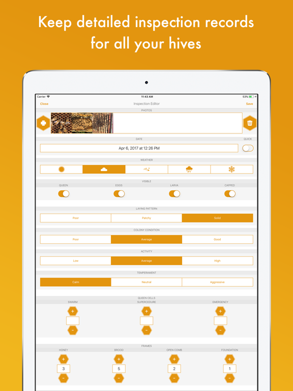 Screenshot #4 pour BeePlus Beekeeping Manager