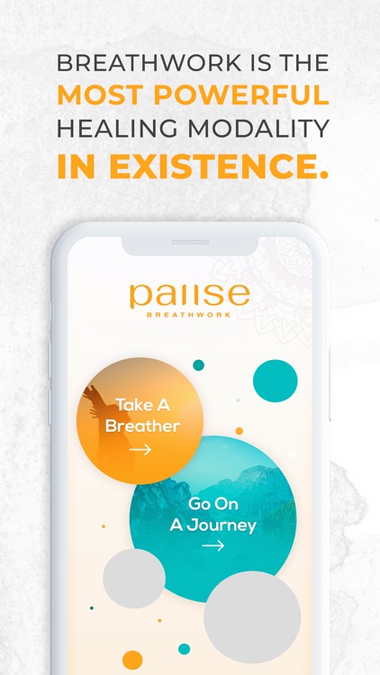 Pause Breathwork screenshot-5
