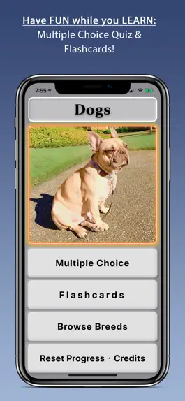 Game screenshot Dogs mod apk