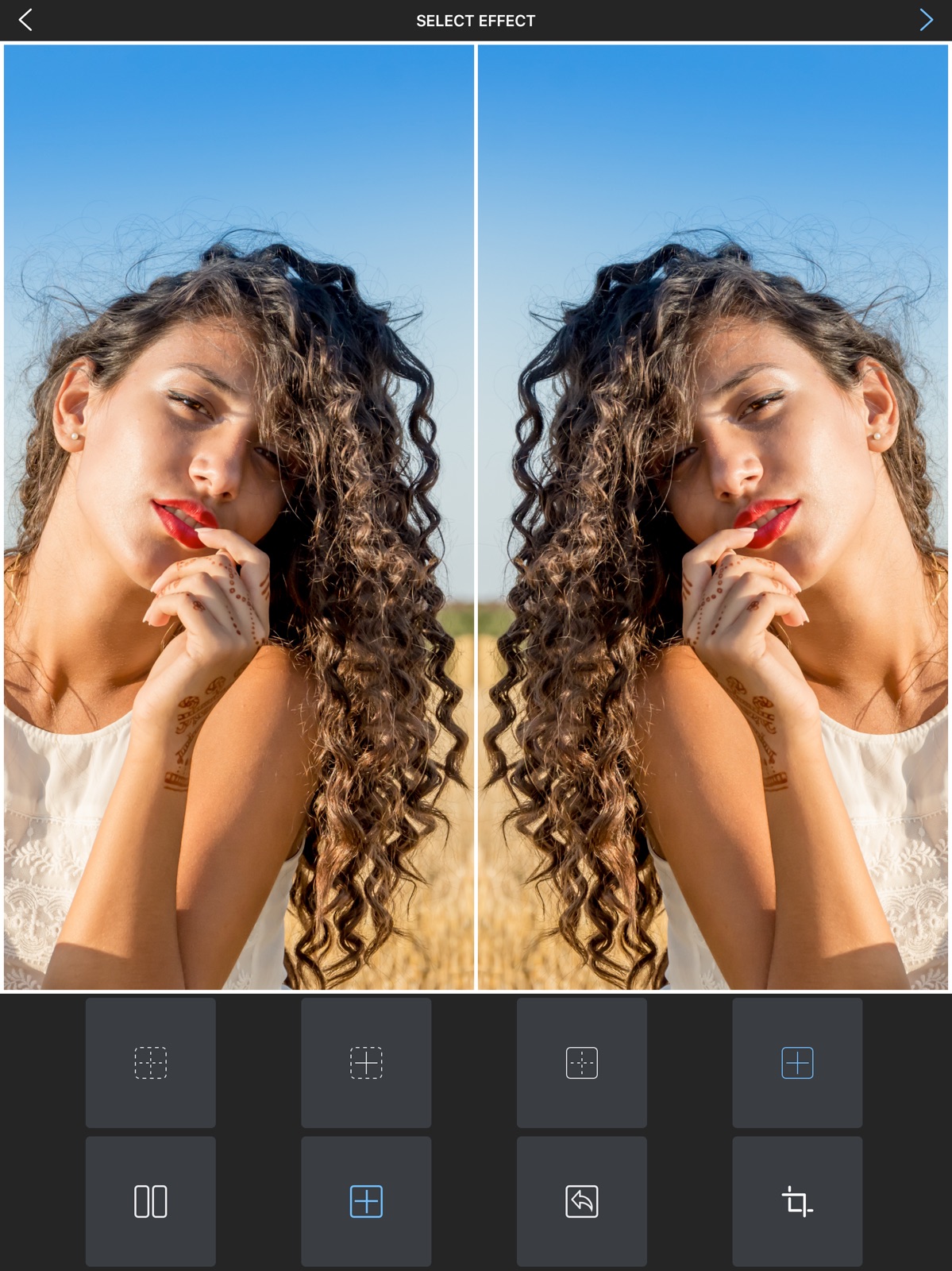 Flipper - Mirror Image Editor ipad screenshot 4