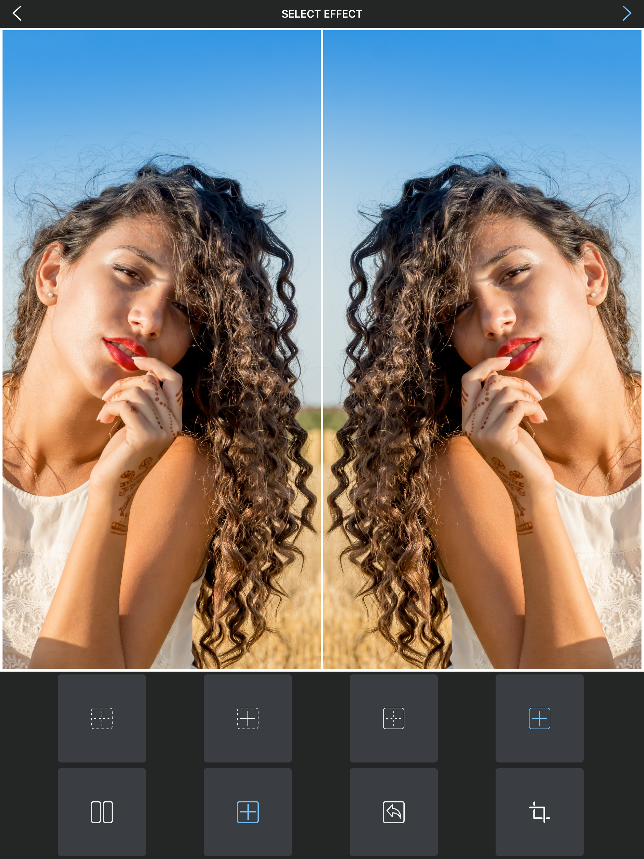 Flipper - Mirror Image Editor