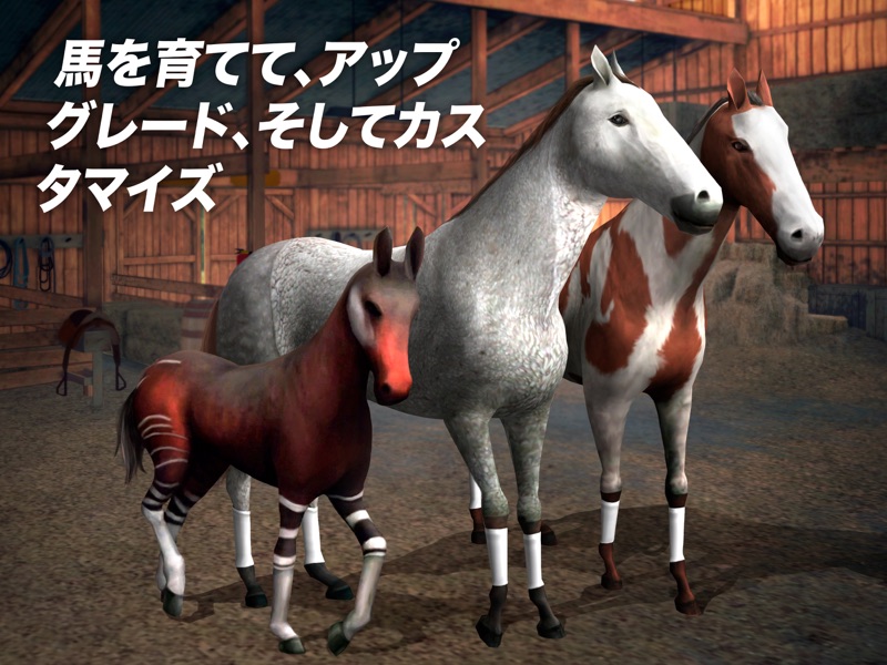 Photo Finish Horse Racing screenshot 9