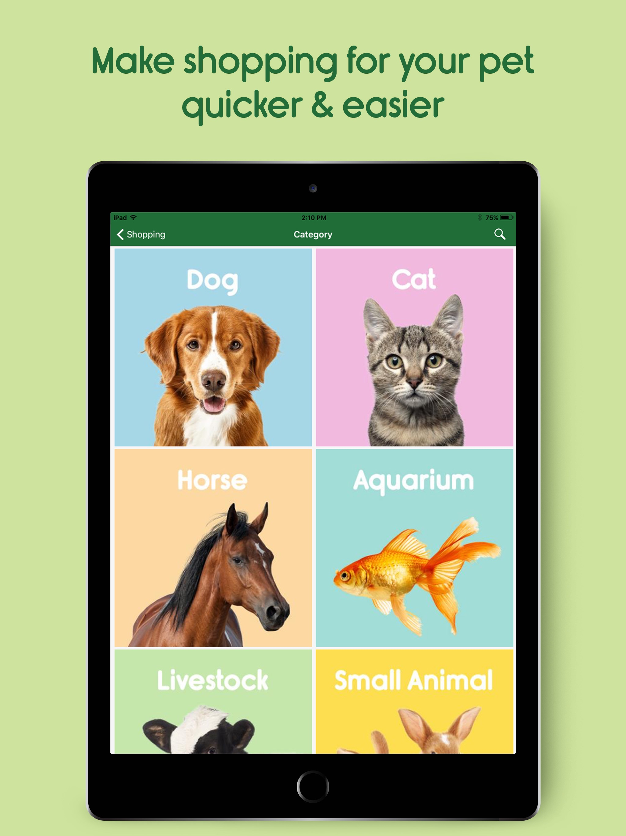 Budget Pet Products
