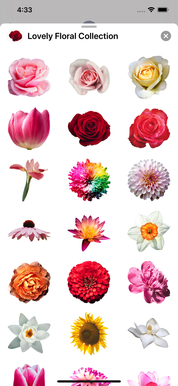 Lovely Flower Collection