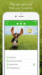 iKnow Dogs: Identify Breeds screenshot