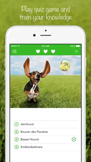 iKnow Dogs: Identify Breeds screenshot 4