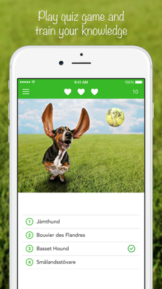 iKnow Dogs: Identify Breeds screenshot 4