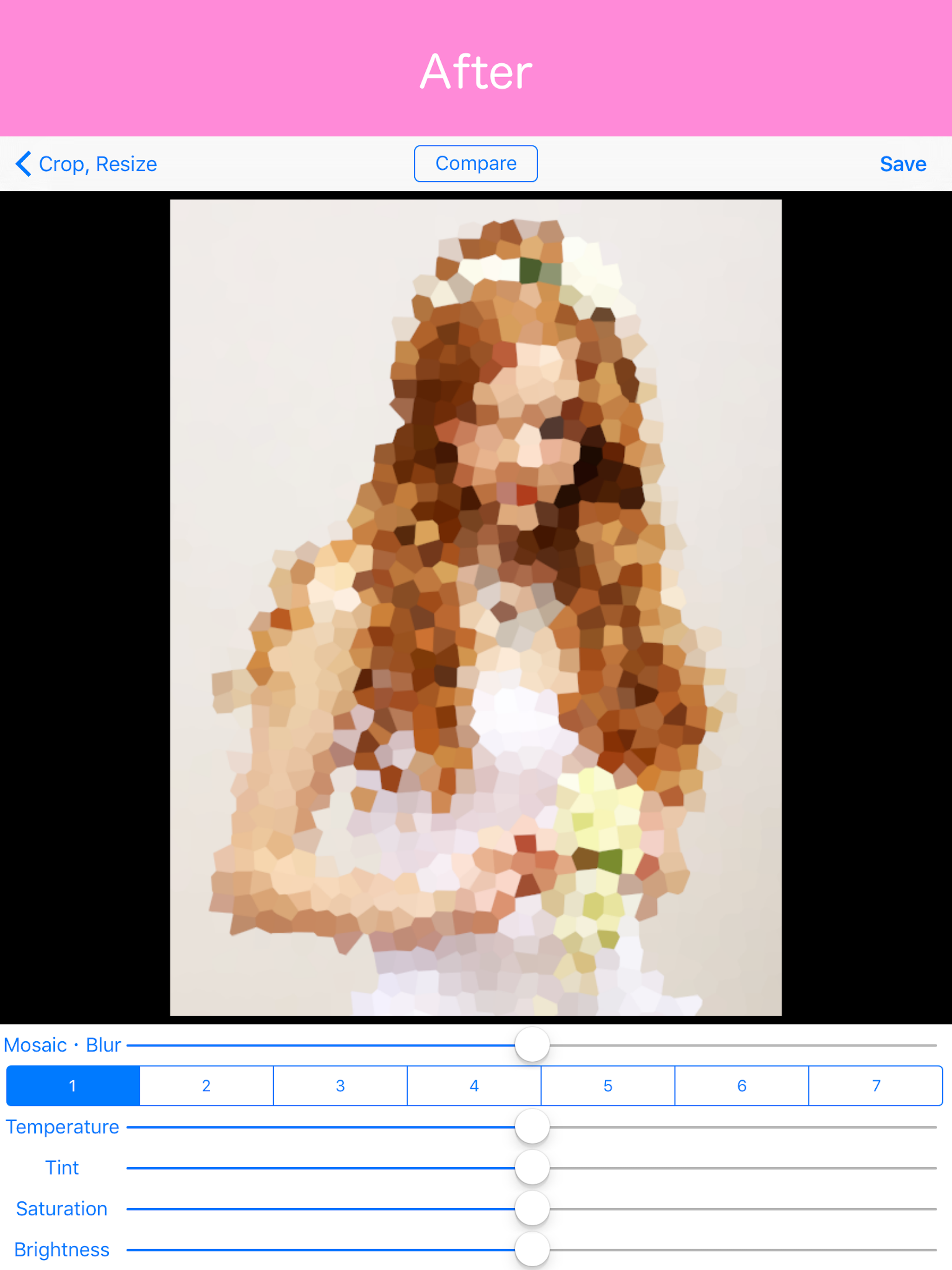 Mosaic & Blur - photo editor screenshot 10