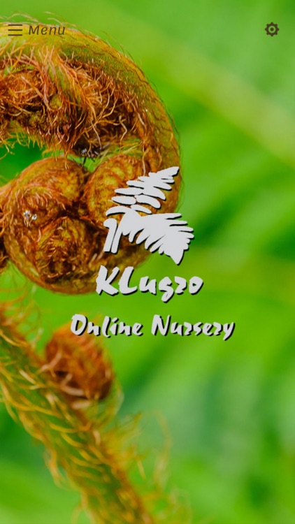 Klugro Online