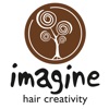 Imagine Hair Creativity