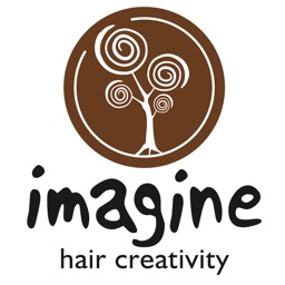 Imagine Hair Creativity