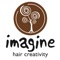 Aplicação Clientes Imagine Hair Creativity