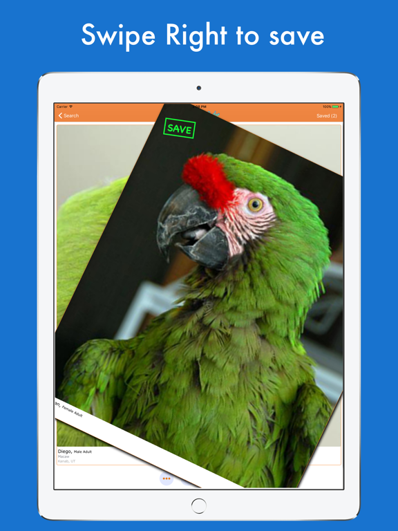 Screenshot #6 pour Furry Friend Finder Pet Rescue