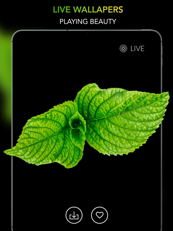 3D Themes - Live Wallpapers iPad screenshot 4 - Photo & Video app