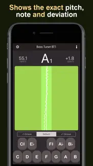 bass tuner bt1 pro iphone screenshot 1