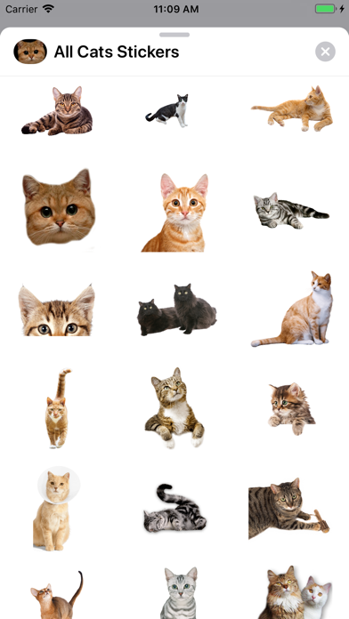 All Cats Stickers screenshot 3