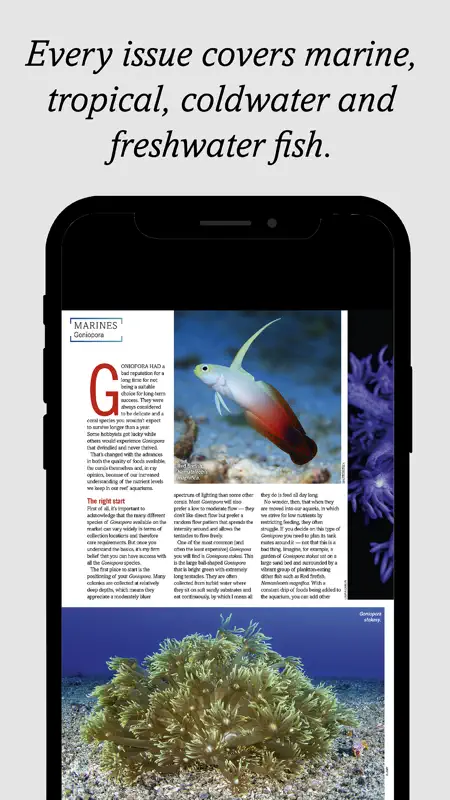Practical Fishkeeping screenshot 4 of 6