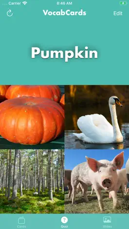 Game screenshot VocabCards apk