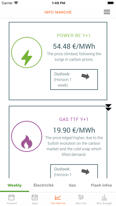 Screenshot #2 pour Luminus Energy Management