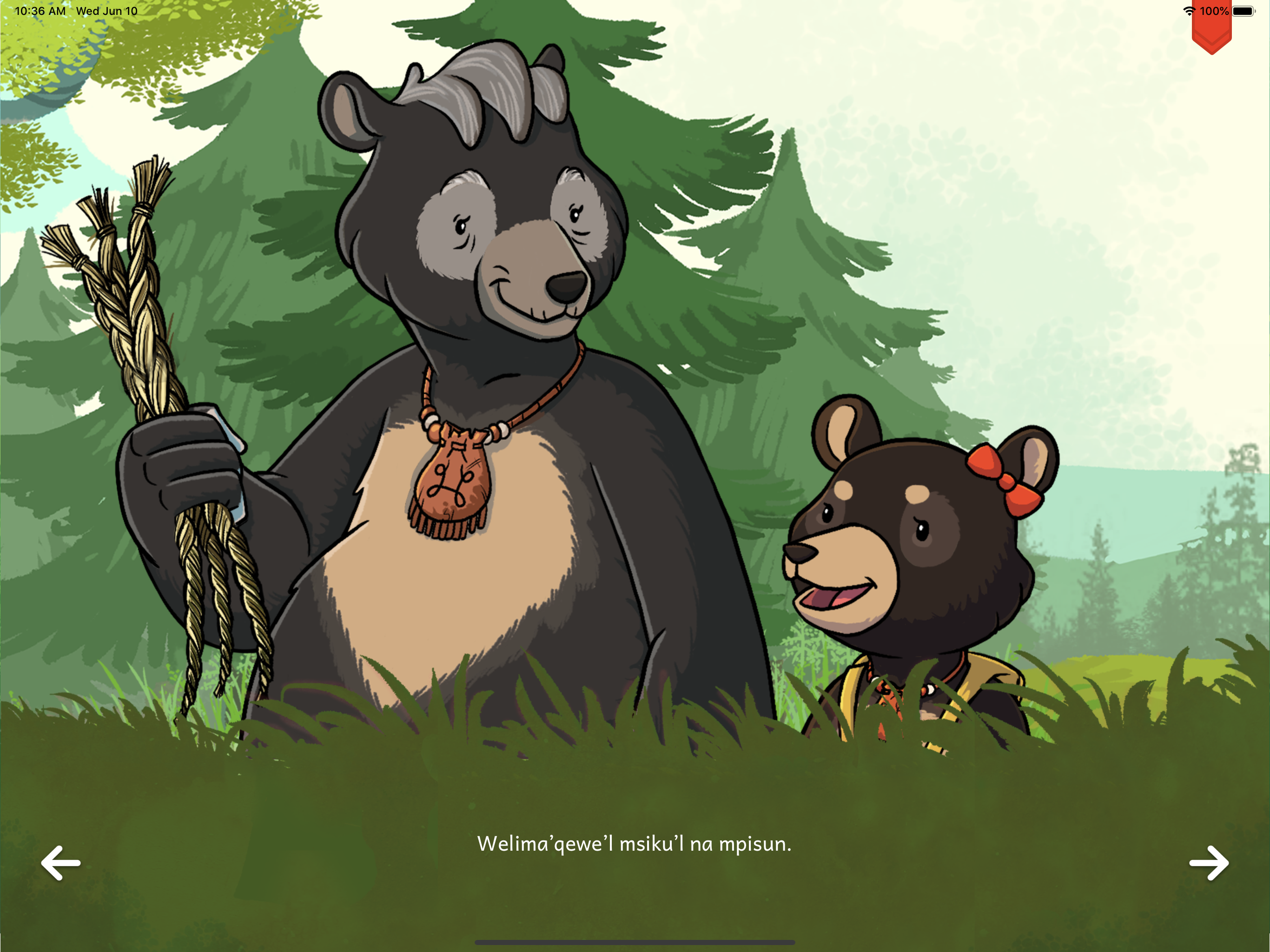 Sprig Library screenshot 4