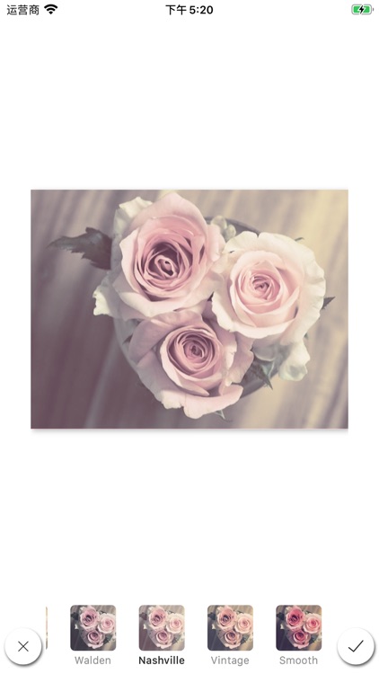 Anniversary greeting card screenshot-3