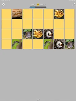 Find The Pairs iPad image 4