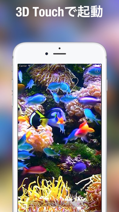 ロック画面用の水族館ライブ壁紙のおすすめ画像3